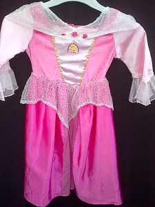Kids Costumes to Hire - Sleeping Beauty Dress